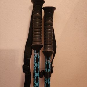 Black and Blue Trekking Poles